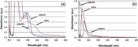 analyzing protein content with uv-visible spectroscopy|uv concentration of protein.